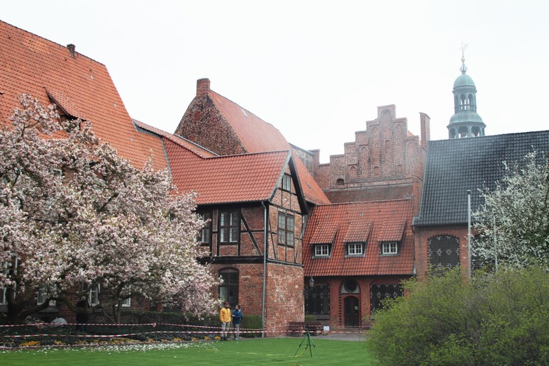 n_333.jpg