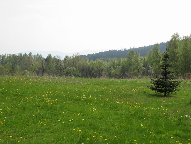 n_13.43.24.jpg