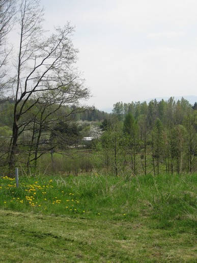 n_13.44.55.jpg