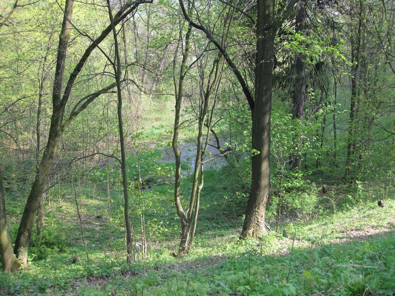 n_15.52.54.jpg