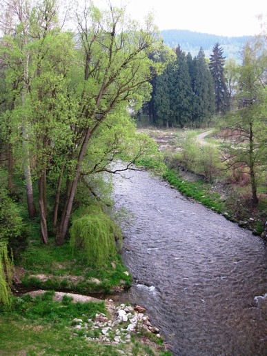 n_19.24.25.jpg