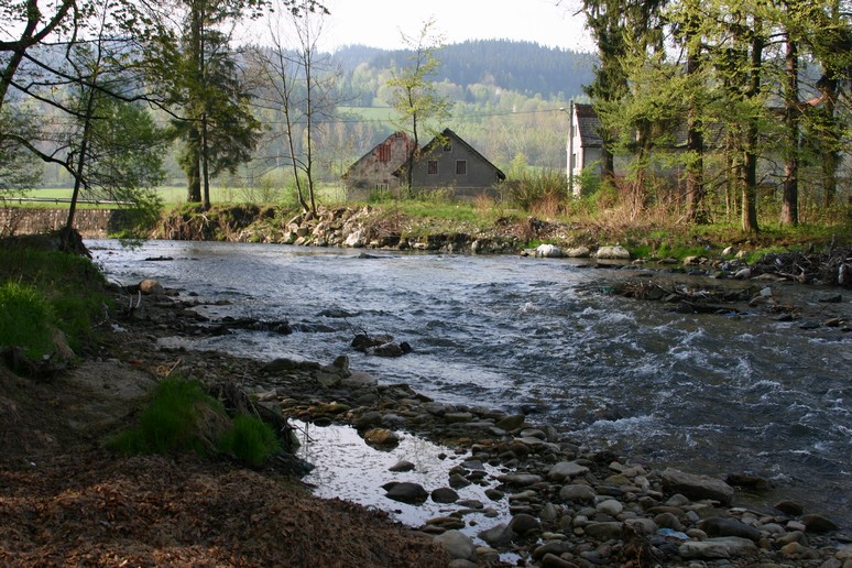n_08.47.37.jpg