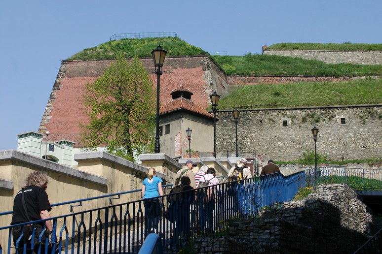 n_12.22.24.jpg