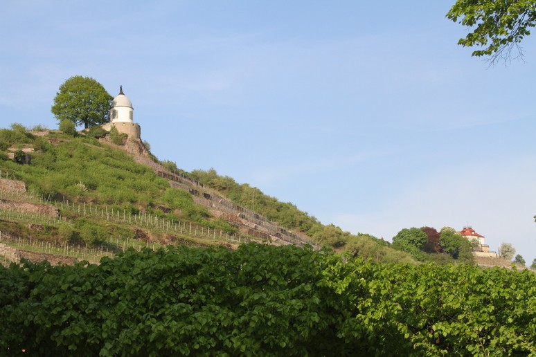 n_1806-1.jpg