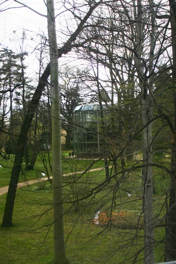 n_1245.jpg