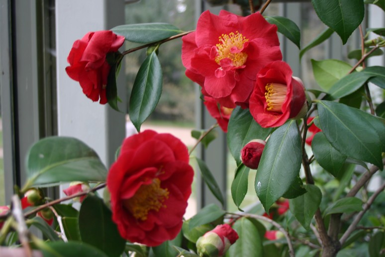 n_1250.jpg