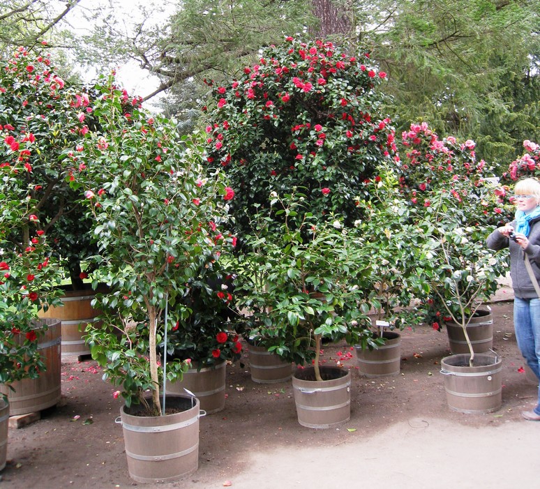 n_1300.jpg