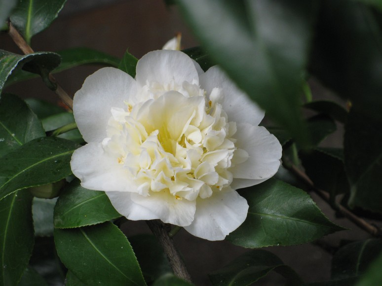 n_1303.jpg