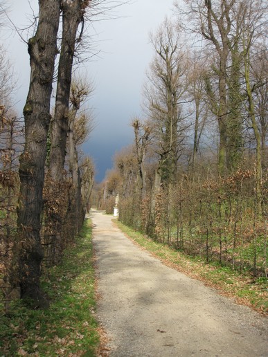 n_1608.jpg