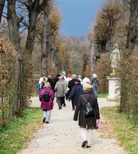 n_1610.jpg