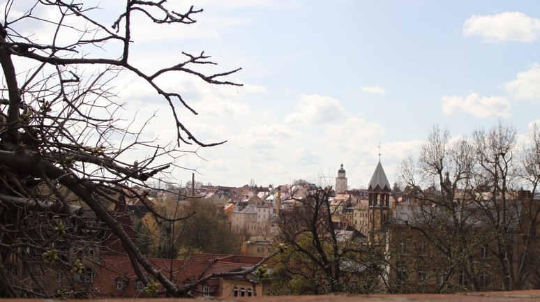 n_1113.jpg
